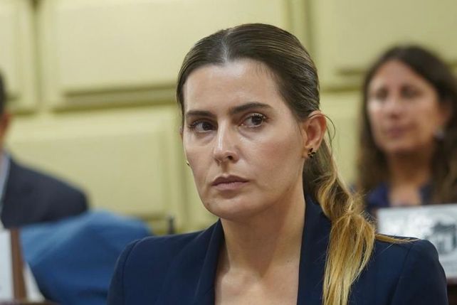 La diputada provincial Lionella Catallini.