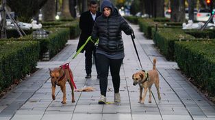 El tiempo en Rosario: un domingo con niebla y poco sol