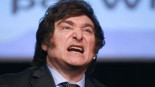 Javier Milei, empeñado en enterrar las leyes de financiamiento universitario y de discapacidad