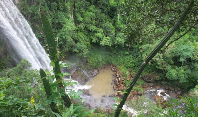 paisaje idílico. Eligieron la zona porque cuenta con todos los servicios.&nbsp;