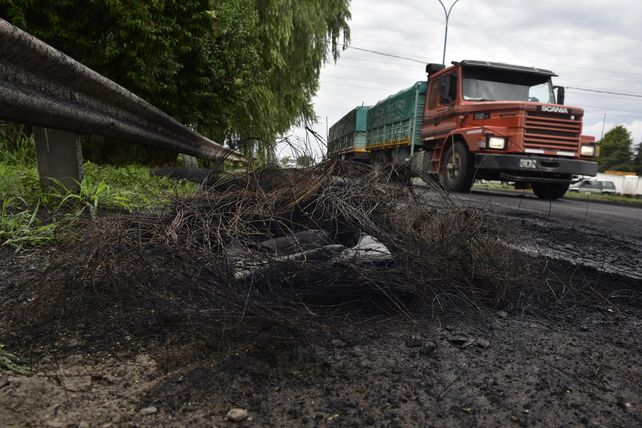 El letrado sugirió que el camionero que atropelló a un manifestante sea declarado inimputable.