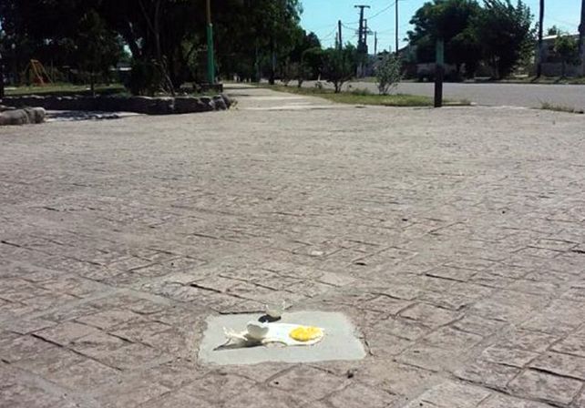 Ola de calor: un intendente cocinó un huevo frito sobre una vereda