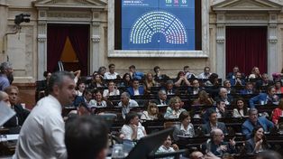 Diputados reaccionaron con dureza frente a los vetos de Milei
