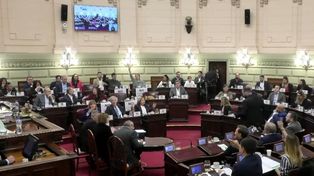 Reforma constitucional: distribución de diputados
