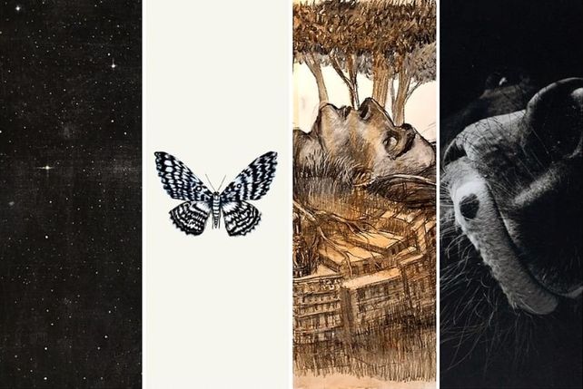 Las diferentes muestras exhibidas 