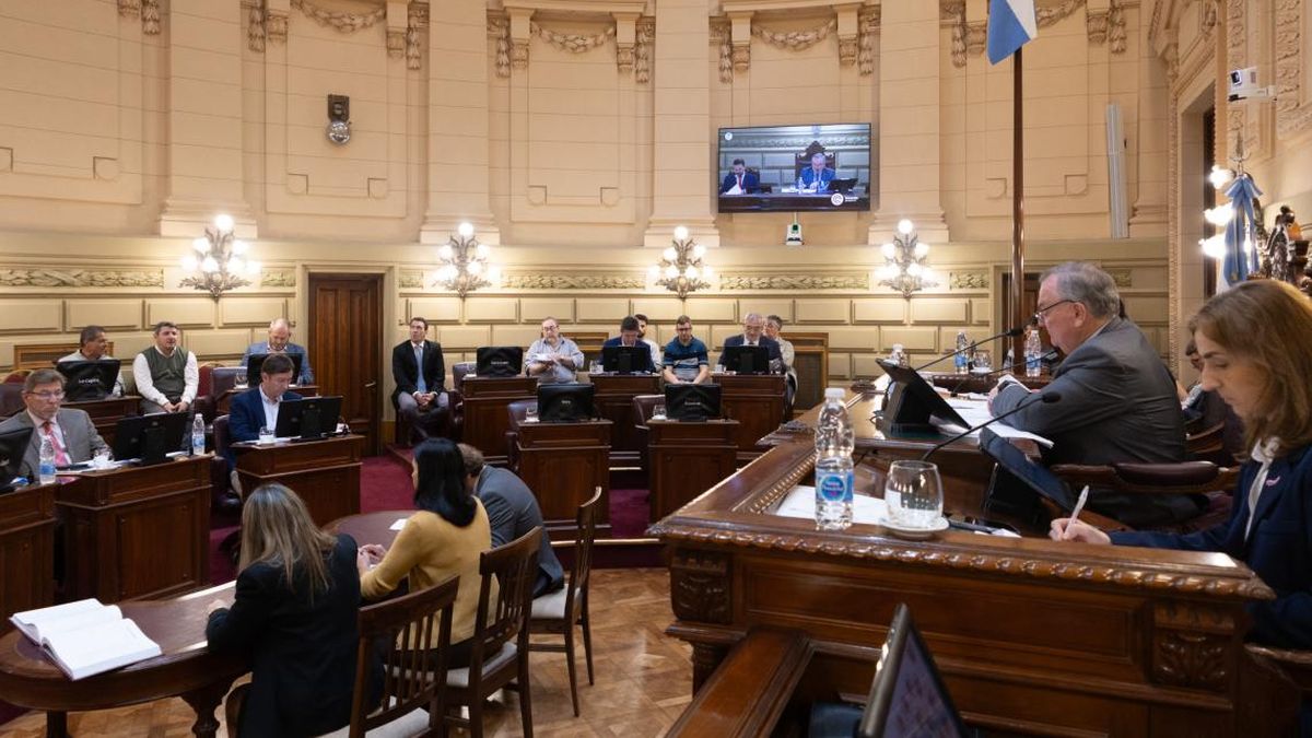 Políticos en redes: el Papa universitario, la concejala a la pasarela y el reto del senador