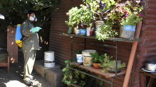 Dengue, esperan que bajen las temperaturas para evitar el aumento de casos