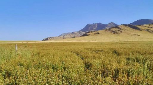 Federación Agraria rechaza cambios en la ley de tierras rurales