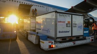 Coronavirus: llegó un cargamento con 768 mil dosis de Sinopharm