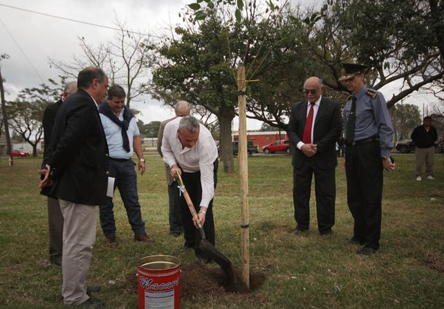 La Ciudad se sumó al Día del Ambiente plantando lapachos rosados