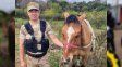 Recuperaron el caballo que había desaparecido tras ser incautado por maltrato animal