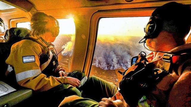 Incendios en el Delta: Ambiente aportó datos a la Justicia