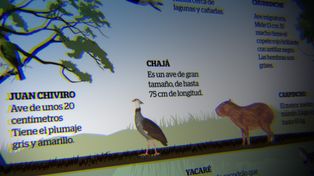 La flora y la fauna, primeras víctimas de las quemas
