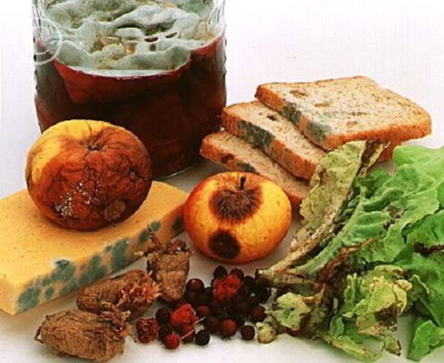 Apps ayudan a reducir el desperdicio de alimentos