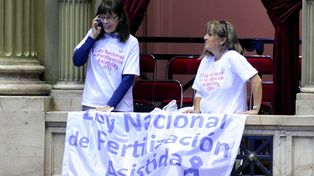 Por abrumadora mayoría, Diputados dio media sanción a la ley de fertilización asistida