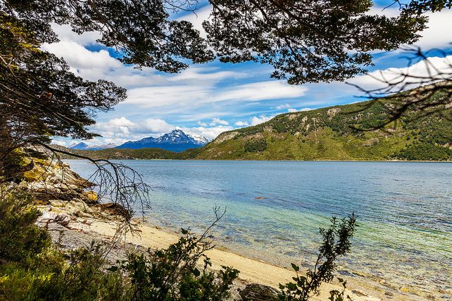 Talaron árboles en un parque nacional argentino y podrían ir dos años presos Talaron árboles en un parque nacional argentino y podrían ir dos años presos