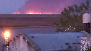Burning on the islands: the smoke returned and made the air of Rosario unbreathable