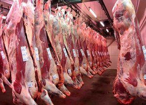 Exportaciones de carne: abren el plazo para acceder a la Cuota Hilton