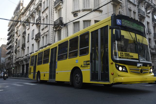 Cuatro choferes son del transporte urbano y el restante del interurbano.
