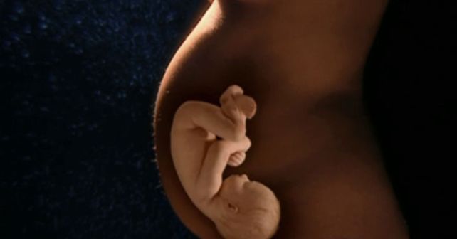 Una de cada cuatro rosarinas desconoce los factores que afectan la fertilidad