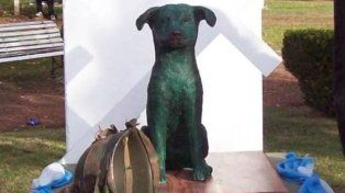 La conmovedora historia de Tom, el perro callejero que fue a Malvinas de polizón y murió como un héroe