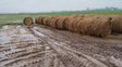 Una localidad de Santa Fe acumuló 260 milímetros de lluvia en pocas horas