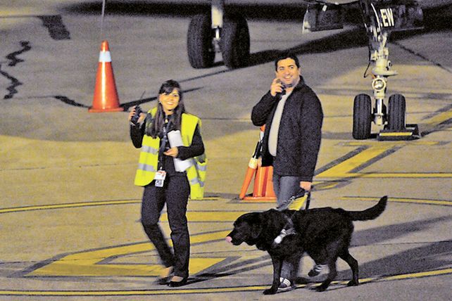 Ahora las personas ciegas podrán viajar con sus perros guía en el transporte público