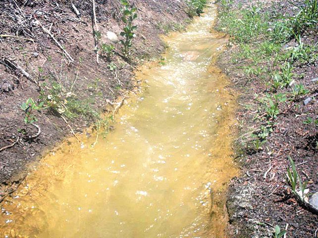 Mendoza: temor y polémica por el agua turbia y verdeamarilla