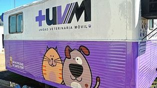 Programa de castración móvil de Santo Tomé&nbsp;