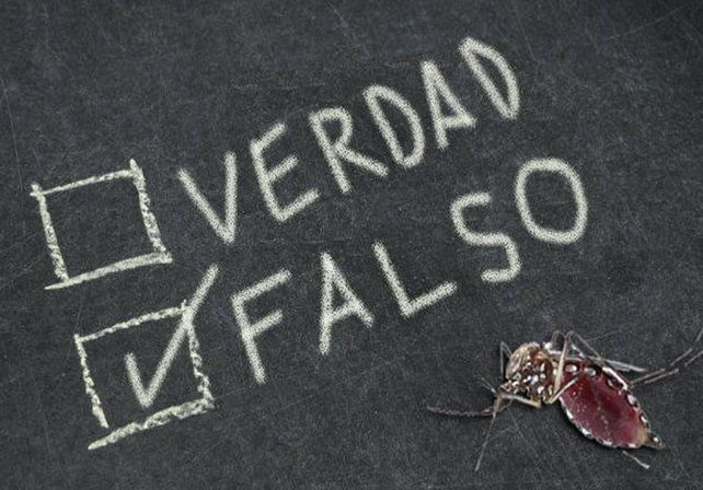 Los 10 mitos falsos sobre el dengue