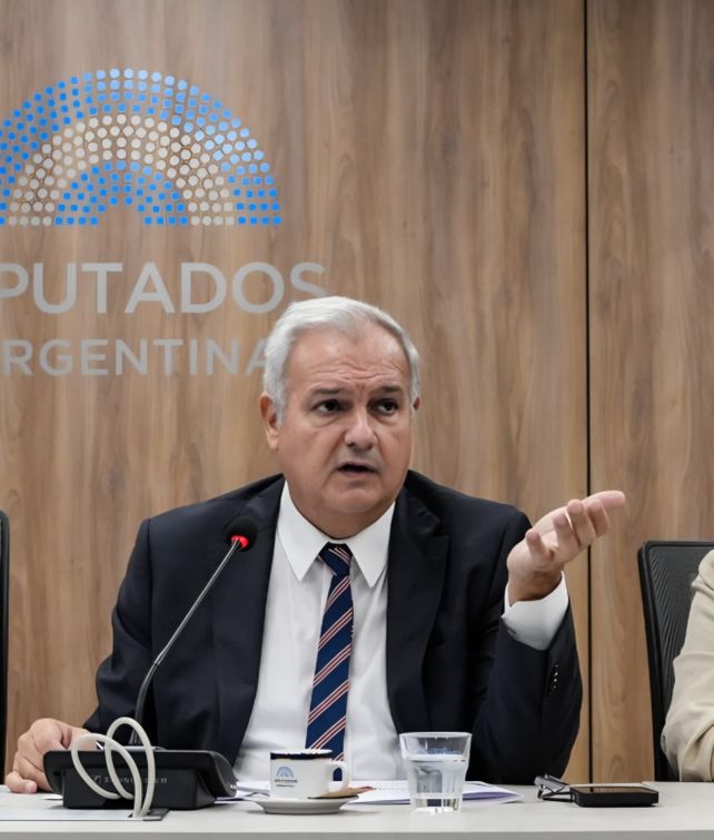 Farías impulsa una ley para fortalecer a las micro
