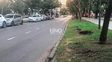 comienza la reparacion del hundimiento en la calzada sobre bulevar galvez frente a la plaza pueyrredon: los cortes y desvios de transito