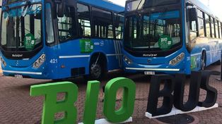 Prevén un ahorro de 700 millones de pesos con colectivos a biodiésel