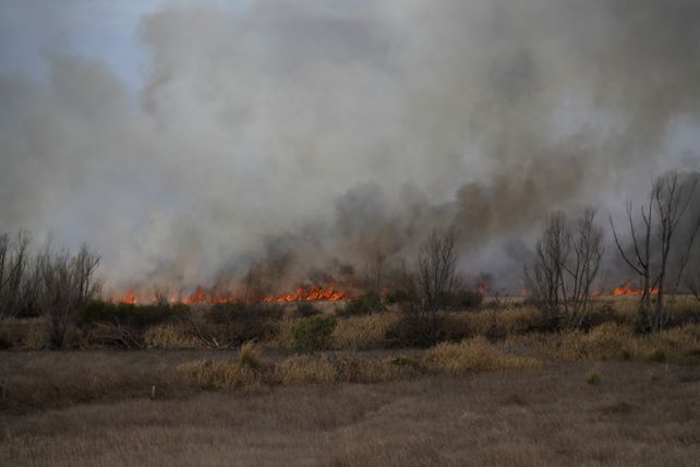 Quemas en las islas. La zona del Delta del Paraná arrasada generó una nube tóxica.
