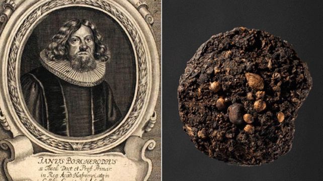 Un análisis de heces revela la vida de un obispo que vivió hace 300 años