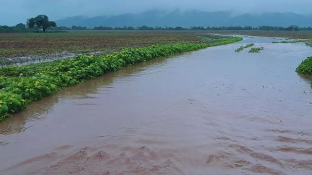 Manejo. El proyecto incluyó un relevamiento topográfico