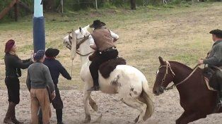 Rechazan prohibir las jineteadas en Oro Verde: los caballos no son sujetos de derechos