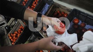 Como es habitual en esta época del año, se triplicó el precio del tomate