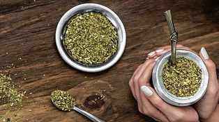 En Argentina creció el consumo de yerba mate en el primer trimestre de 2022