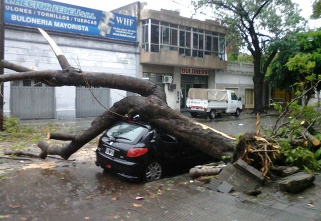 En Sarmiento y Garay un árbol cayó en plena la calle y no permite la circulación. (Foto G. De los Ríos)