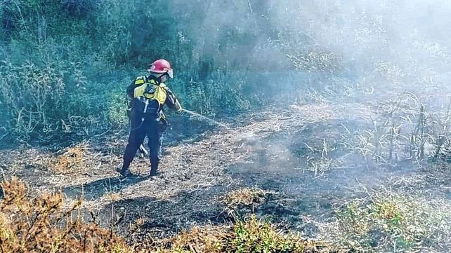 Videos y Fotos: Bomberos combaten el fuego en la Isla Puente