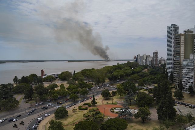 Los incendios en las islas provocaron una emergencia ambiental que tardará años en resolverse.&nbsp;