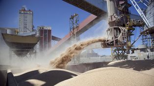Retenciones: la Sociedad Rural de Rosario pide medidas a corto plazo