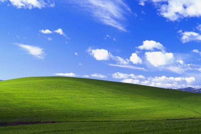 La verdadera historia de la foto más usada en la PC