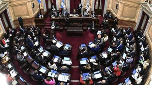 El Senado tratará la ley que sube topes de facturación para recategorización