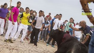 El sacrificio de un toro perseguido y lanceado hasta la muerte divide a una localidad española
