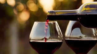 ¿Por qué en la Argentina se celebra hoy el Día del Vino?