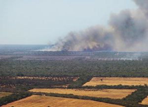 La ONU perjudica a países pobres en acuerdos sobre clima