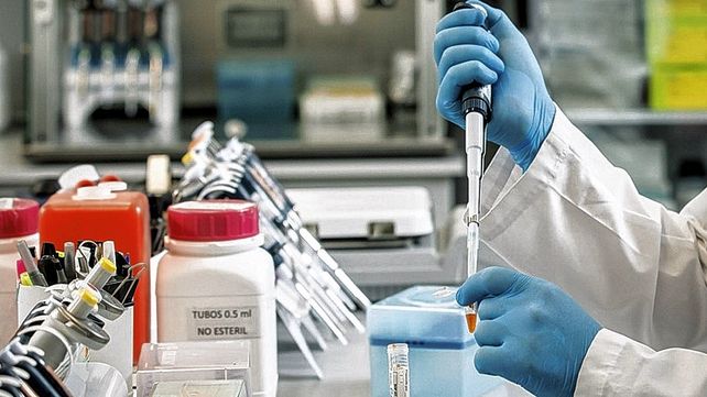 Publican en una revista de The Lancet el estudio sobre suero equino contra el coronavirus