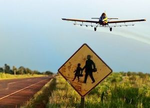 Educación rural: denuncian baja de alumnos y escuelas en malas condiciones en Santa Fe